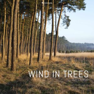 Wind-in-Trees-Cover Cover Wind in Trees