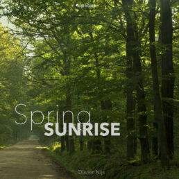 Spring Sunrise cover